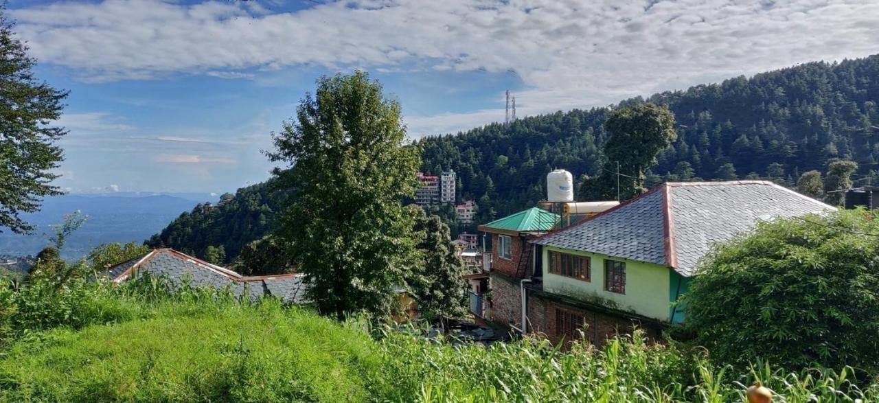 White Rabbit Guest House Dharamszala Kültér fotó